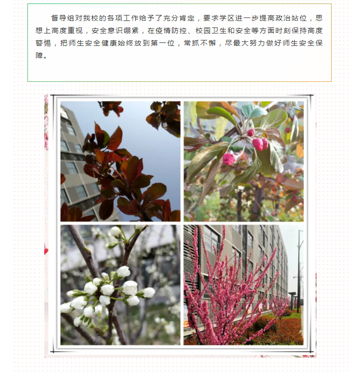 助力創(chuàng)衛(wèi)迎復(fù)審，綠色校園文明城--市教育局第二督導(dǎo)組蒞臨我校督查創(chuàng)衛(wèi)復(fù)審暨疫情防控巡查_03