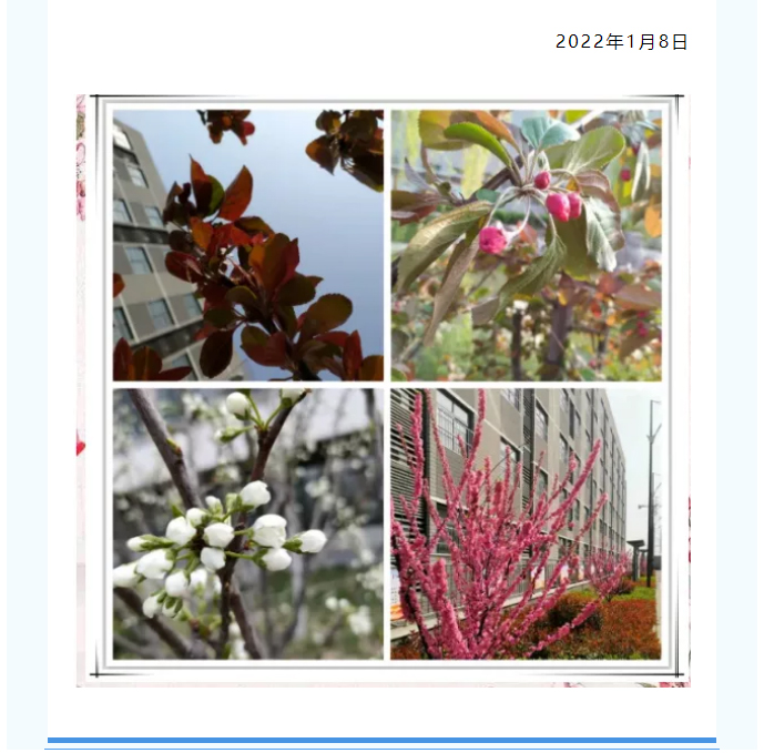 緊急通知__安陽市飛翔學校關于做好當前新冠肺炎疫情防控工作的緊急通知_02